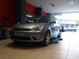 Fiesta mk6 1.25-trend